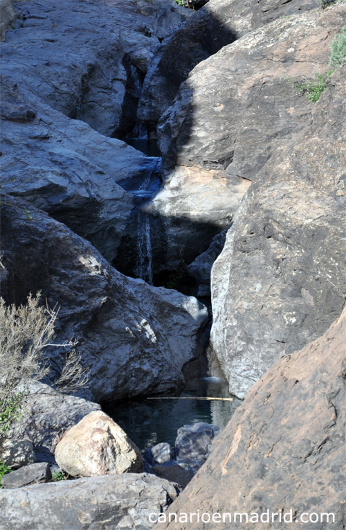 El agua caida la semana pasada, aún corre hacia la Presa de las Niñas